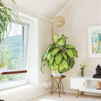 Interior timber battens cladding